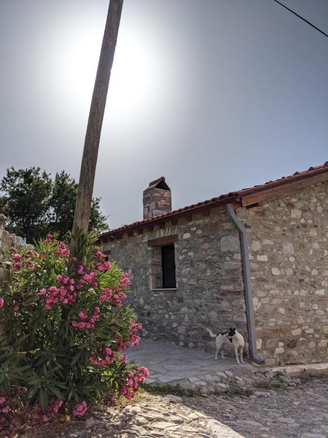 Bahab Gasthof Doganbey (Aydin)